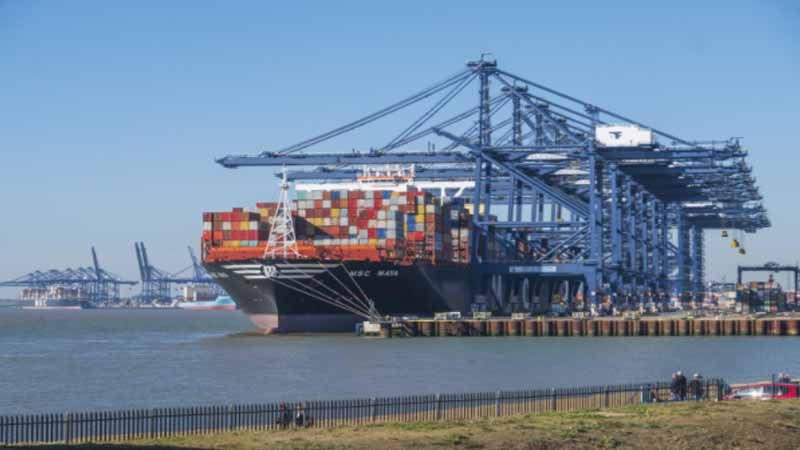 MSC 集装箱船市场份额接近 20%